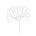 Daisy from below monochrome sketch art design stock vector illustration